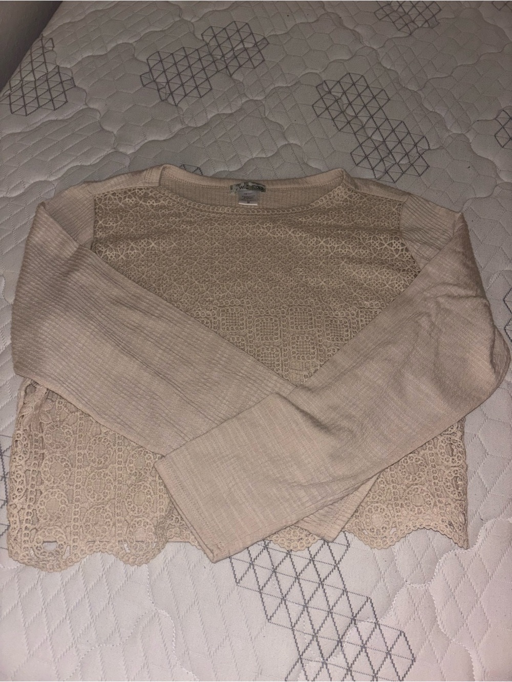 Lace-Front Scoop Neck Sweater in Cream